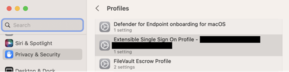 Configuring Enterprise SSO in Apple Devices